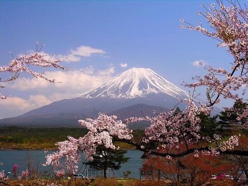 縱觀日本電視頻道和網(wǎng)絡(luò)內(nèi)容運(yùn)營(yíng)商