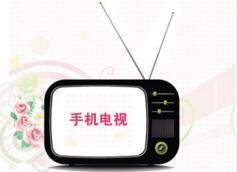 世界杯即將開(kāi)啟 運(yùn)營(yíng)商搶占手機(jī)電視市場(chǎng)