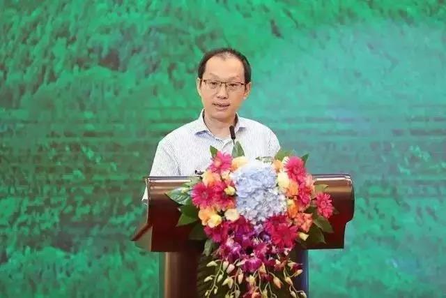 北京廣電局局長楊爍：關(guān)于促進智慧廣電發(fā)展行動方案