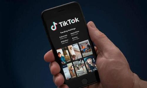 蓬佩奧：希望TikTok和微信等“不可信的”中國科技應(yīng)用從美國應(yīng)用商店下架