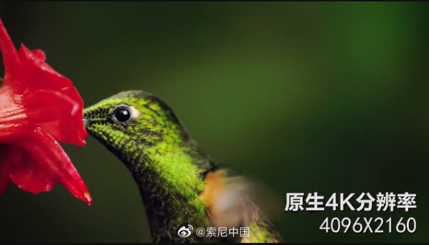 索尼推出K家用投影機VPL-VW798 4