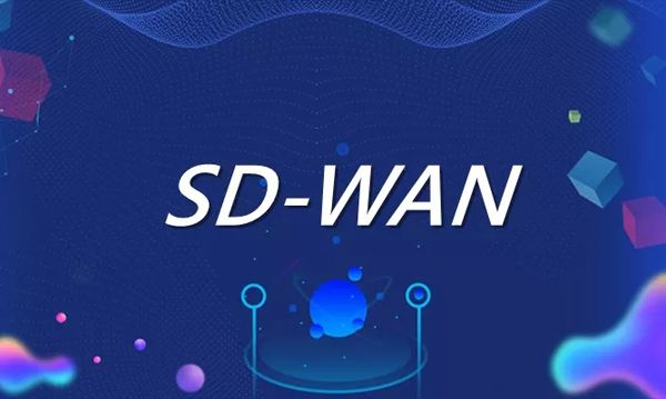 泰康保險(xiǎn)張?。篠D-WAN技術(shù)是幫助企業(yè)向前發(fā)展的驅(qū)動力